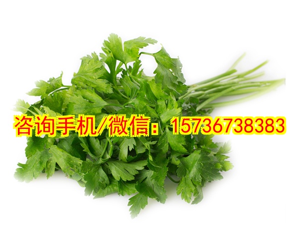 自贡代怀毛绒拖鞋