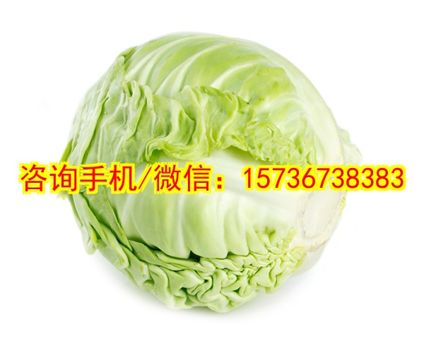 自贡代生沙滩玩具