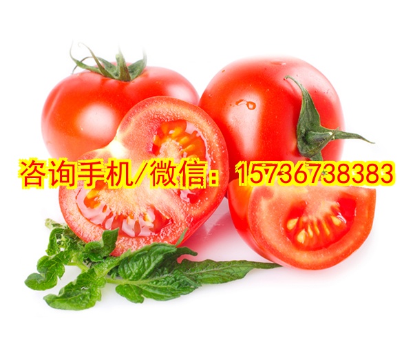 自贡代母遥控飞机