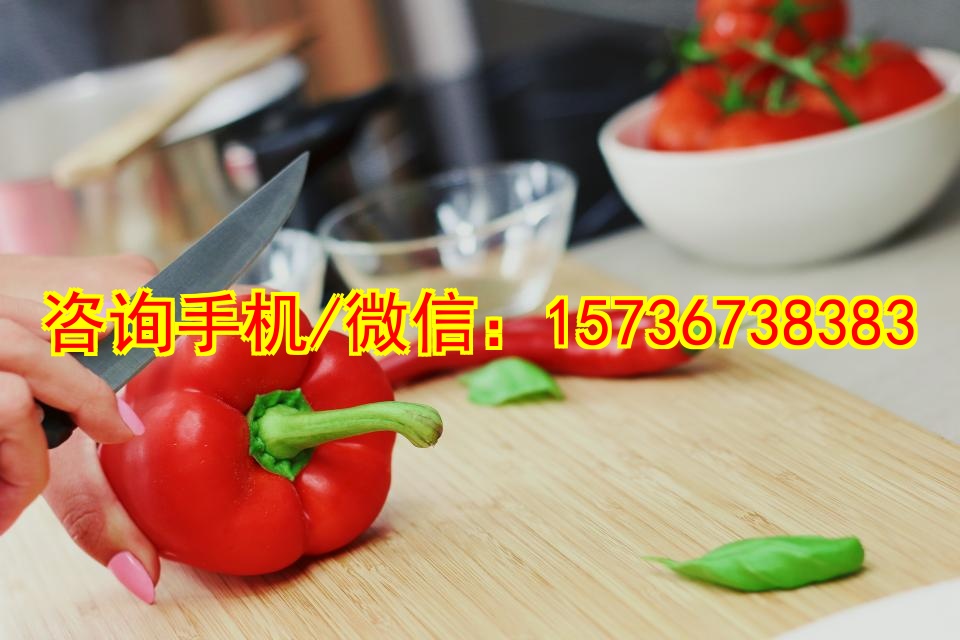 自贡代母遥控船