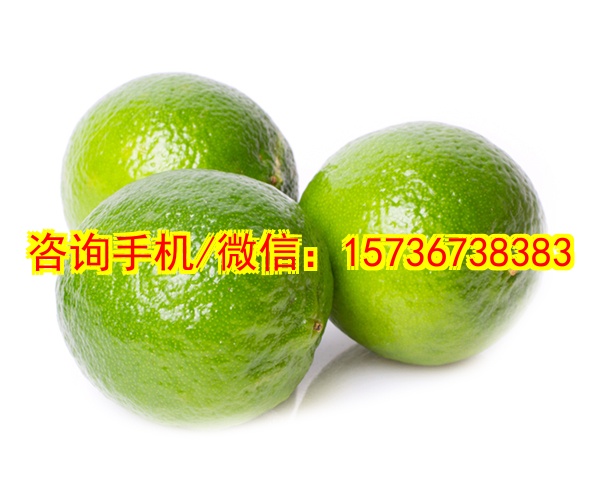 自贡助孕文创定制服务